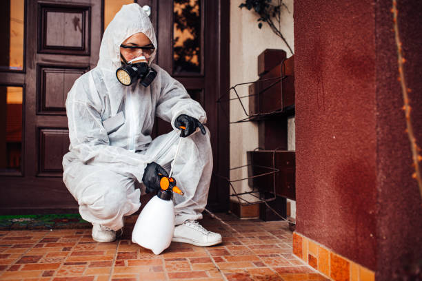 Reliable Wasp Removal contractor in Oradell, NJ by Show Me Pest Control