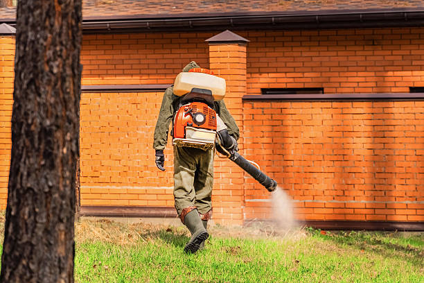 Top rated local Wasp Removal specialists in Oradell, NJ